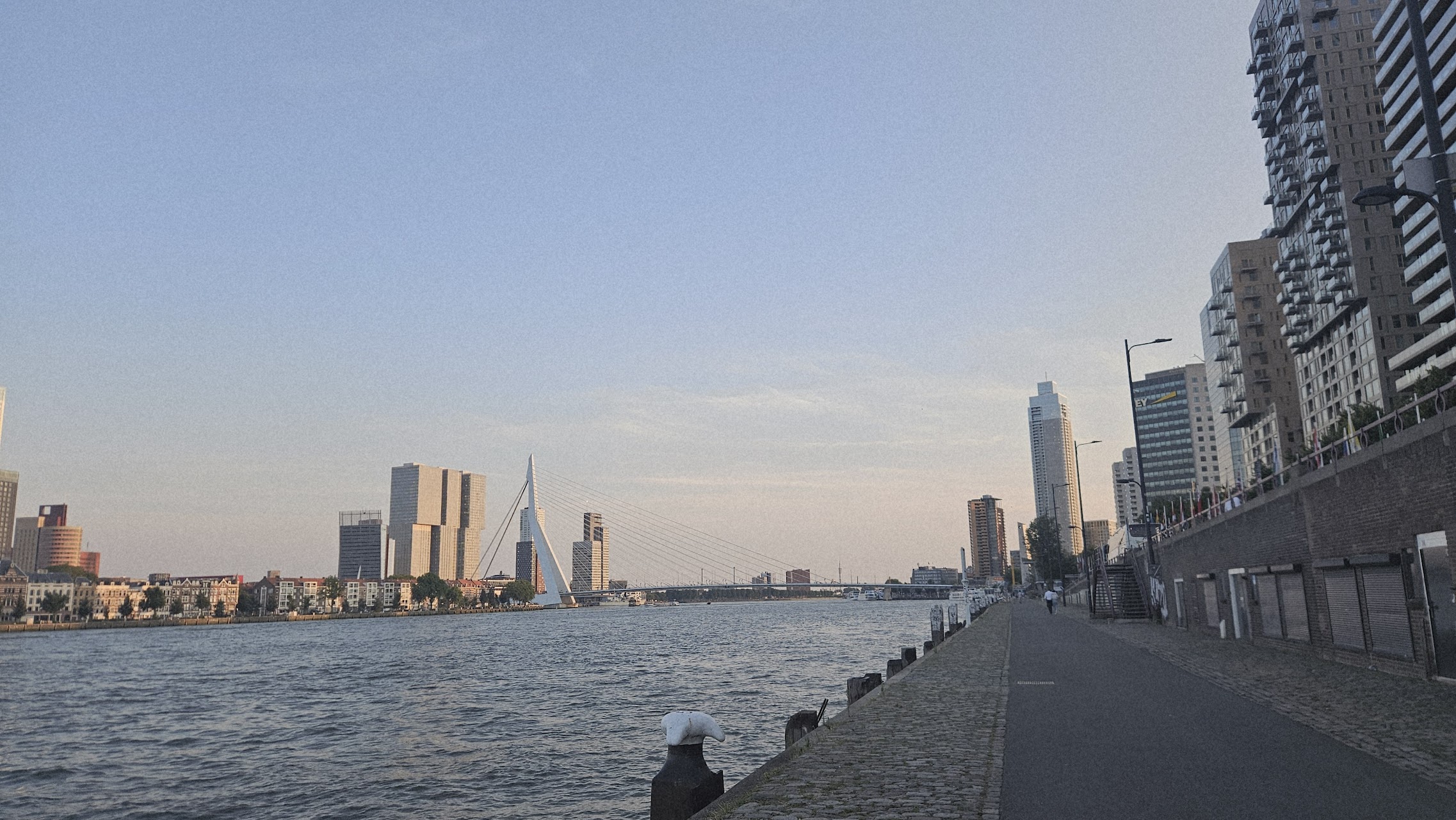 Rotterdam6